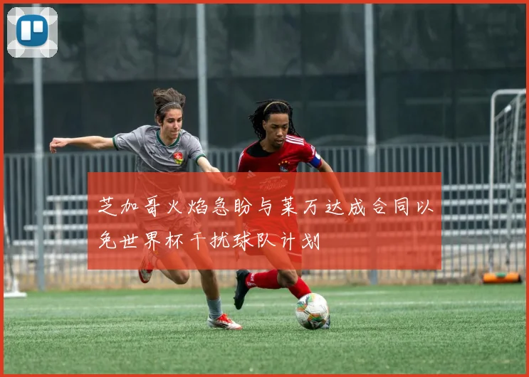 芝加哥火焰急盼与莱万达成合同以免世界杯干扰球队计划