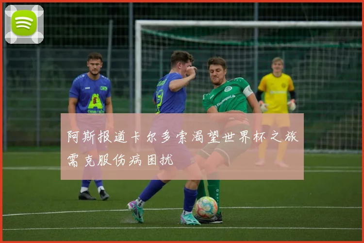 阿斯报道卡尔多索渴望世界杯之旅需克服伤病困扰