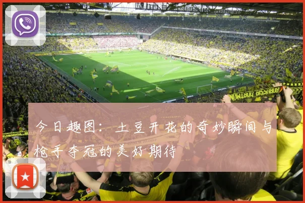 今日趣图：土豆开花的奇妙瞬间与枪手夺冠的美好期待